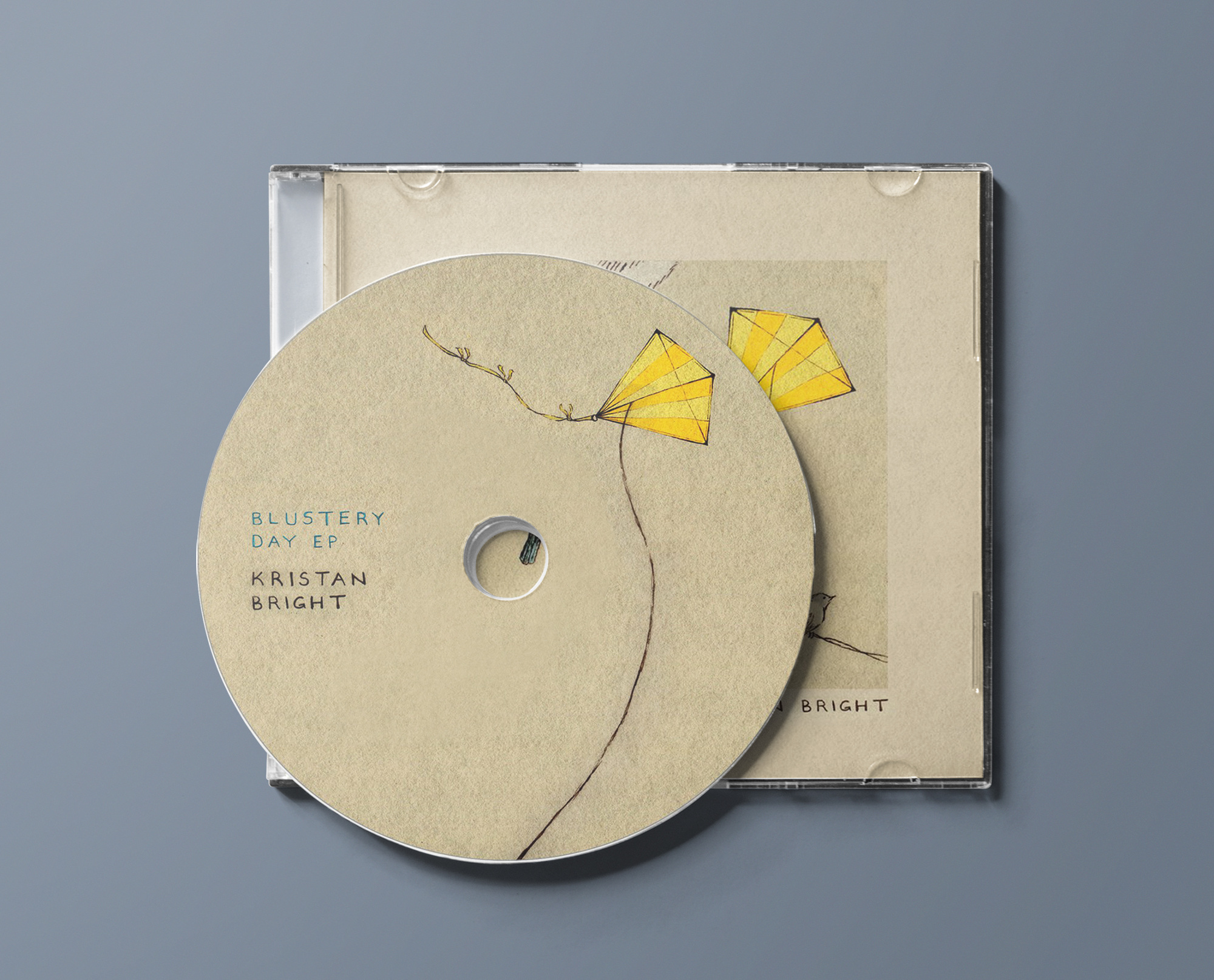 BlusteryDay_Mock_up_disc