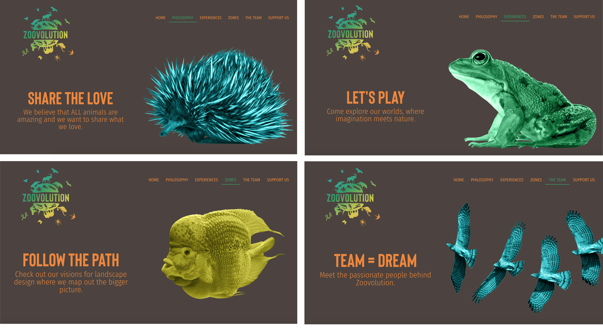 Zoov_homepage_2