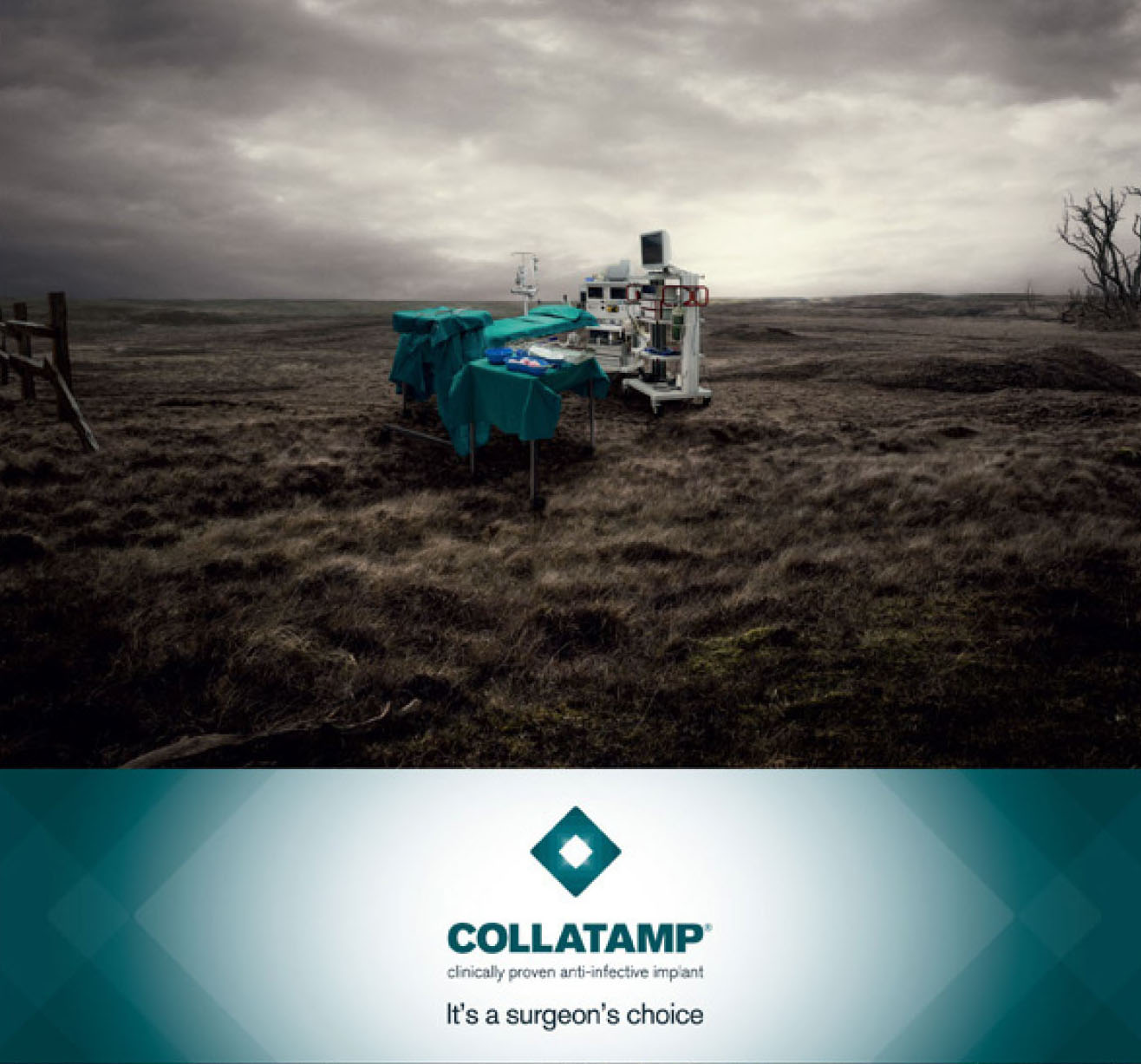 Collatamp Campaign, Logo, Branding