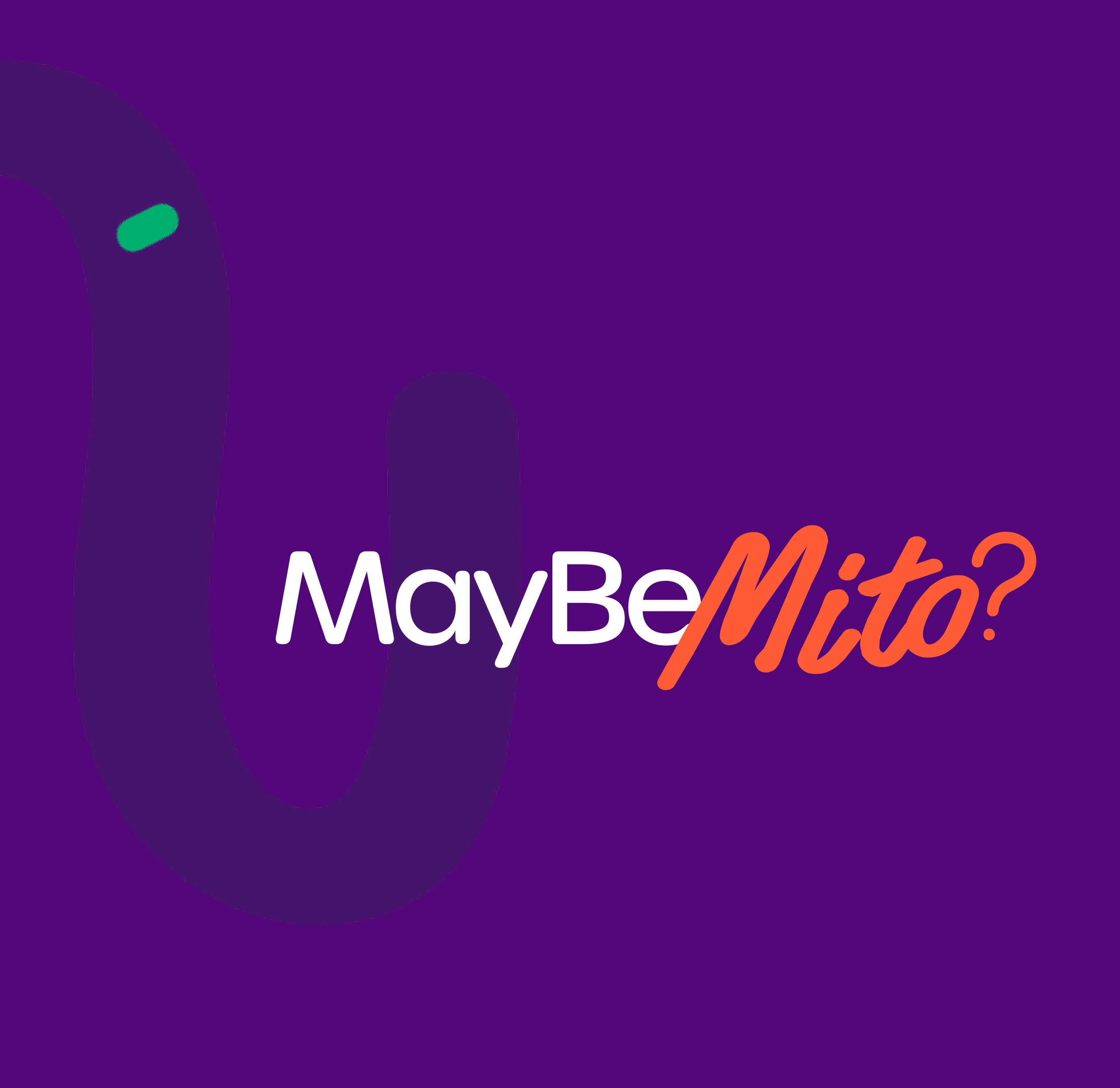 MaybeMito? Brand Guide & Website